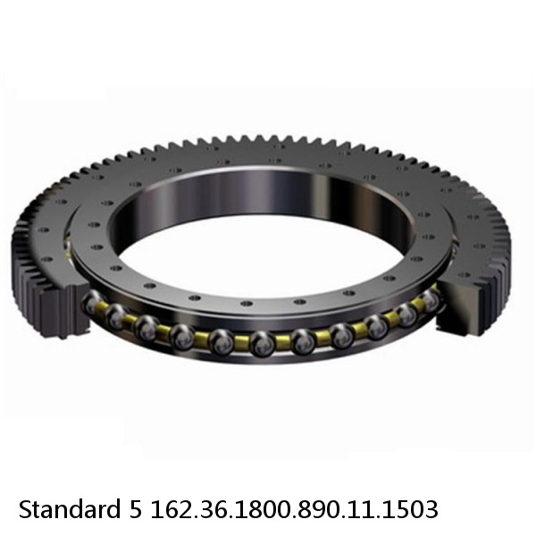 162.36.1800.890.11.1503 Standard 5 Slewing Ring Bearings #1 small image