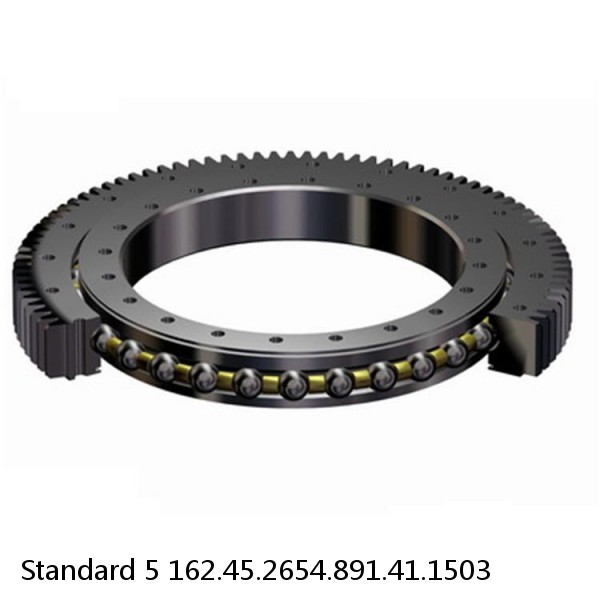 162.45.2654.891.41.1503 Standard 5 Slewing Ring Bearings #1 small image