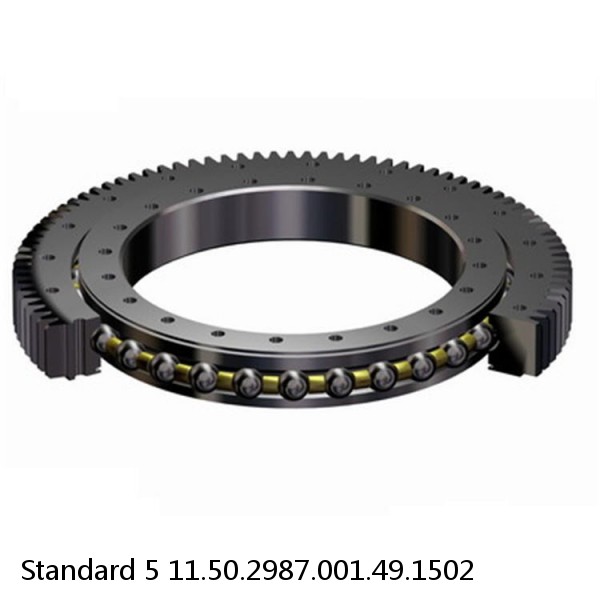 11.50.2987.001.49.1502 Standard 5 Slewing Ring Bearings