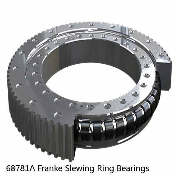 68781A Franke Slewing Ring Bearings #1 small image