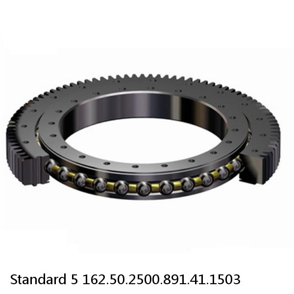 162.50.2500.891.41.1503 Standard 5 Slewing Ring Bearings #1 image