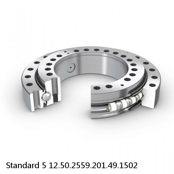 12.50.2559.201.49.1502 Standard 5 Slewing Ring Bearings #1 image