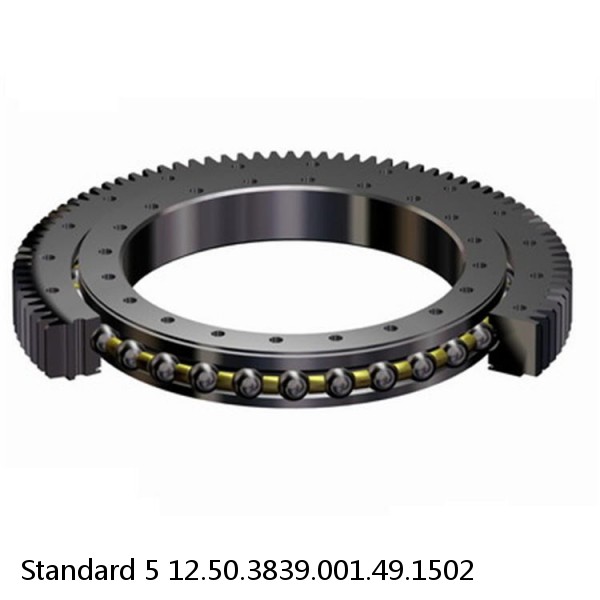 12.50.3839.001.49.1502 Standard 5 Slewing Ring Bearings #1 image