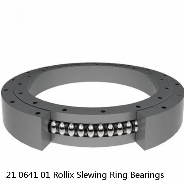 21 0641 01 Rollix Slewing Ring Bearings #1 image