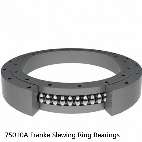 75010A Franke Slewing Ring Bearings #1 image