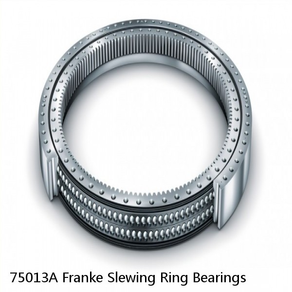 75013A Franke Slewing Ring Bearings #1 image