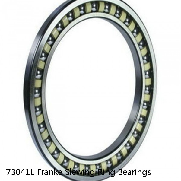 73041L Franke Slewing Ring Bearings #1 image