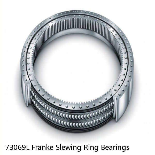 73069L Franke Slewing Ring Bearings #1 image