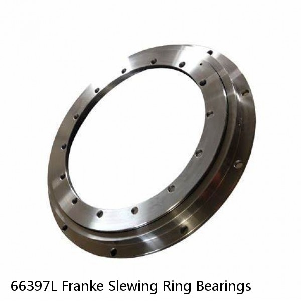 66397L Franke Slewing Ring Bearings #1 image