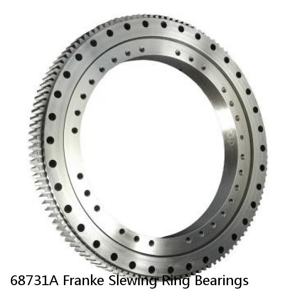 68731A Franke Slewing Ring Bearings #1 image