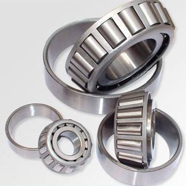40 mm x 90 mm x 23 mm  FAG NJ308-E-TVP2  Cylindrical Roller Bearings #1 image